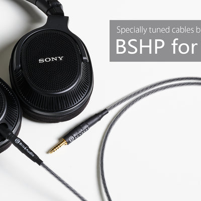 BSHP-for-MV1V2-ヘッダー.jpg__PID:7886ff92-a930-4228-abc1-9ca643cac4ee