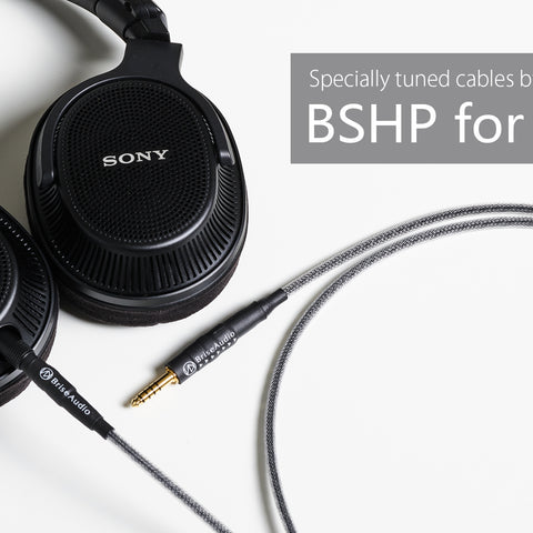BSHP-for-MV1V2-ヘッダー.jpg__PID:7886ff92-a930-4228-abc1-9ca643cac4ee