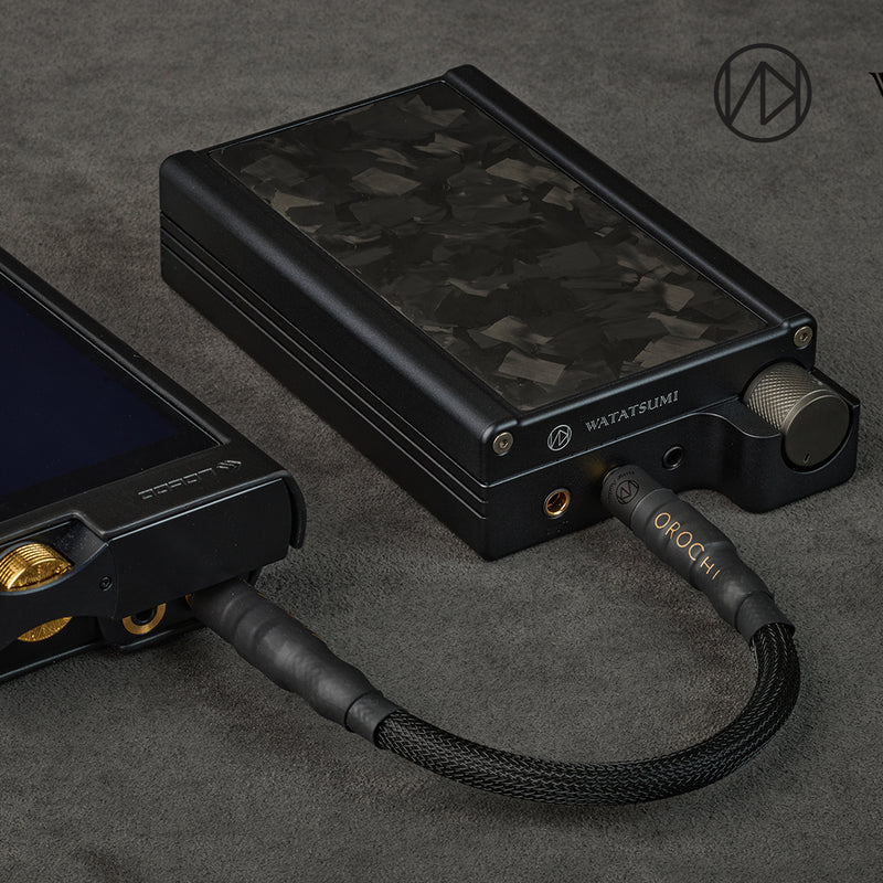Portable Amplifier