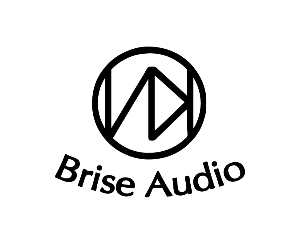 Silver Concept 4-wire Ultimate for IEM – Brise Audio
